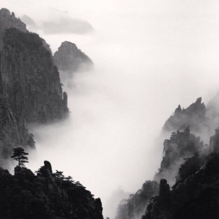 武田观柳（身份：恶德实业家、操纵鸦片贸易） - 会员专享内容在线观看 - APP看视频